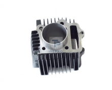 ΚΥΛΙΝΔΡΟΣ ASTRA-100 54.00mm RIKEN (PE)