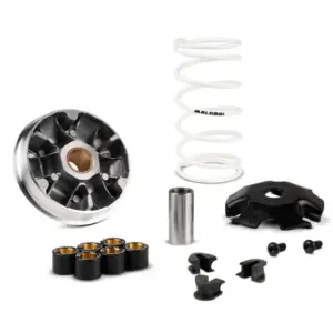 MAL-5119670 ΒΑΡΙΑΤΟΡ MALOSSI MULTIVAR 2000 HONDA VISION 110