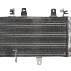 ΨΥΓΕΙΟ ΝΕΡΟΥ BMW F 650 GS 2006-2012 / F 700 GS 2011-2017 / F 800 R / S / ST / GT 2004-2018 RAD-738 4RIDE